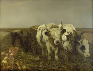 Roeoptagning, by N.P. Mols