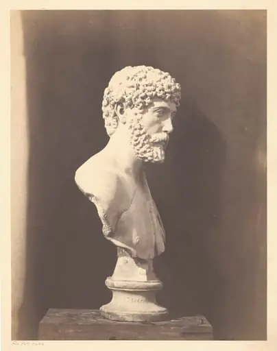 Portrait of Roman Male, by Roger Fenton