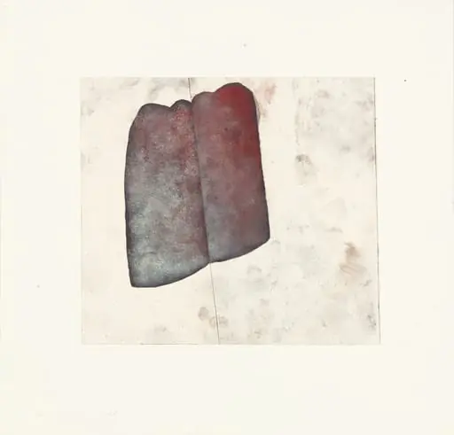 Untitled, by Roni Horn