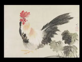 Rooster