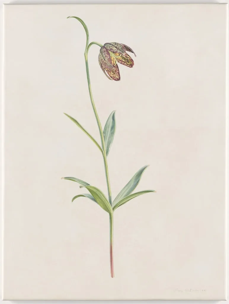 Untitled, by Rory McEwen, watercolor, 1981