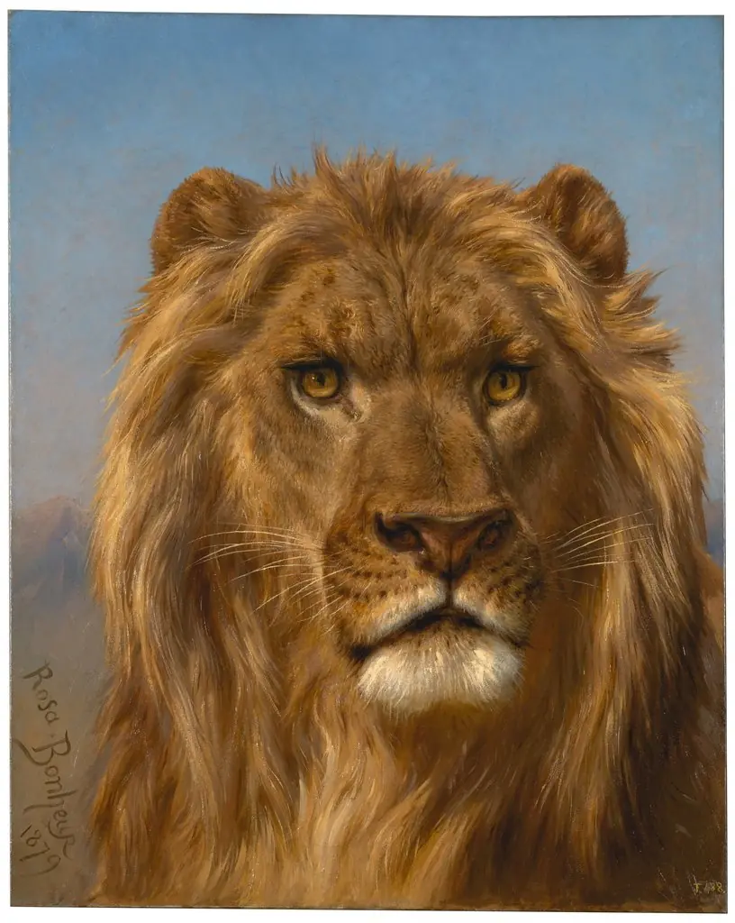 Portrait of a Lion