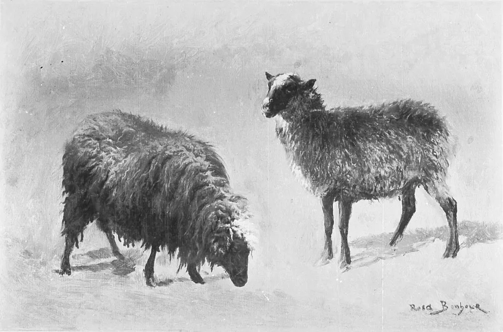 Two sheep in the meadow, by Rosa Bonheur, oil