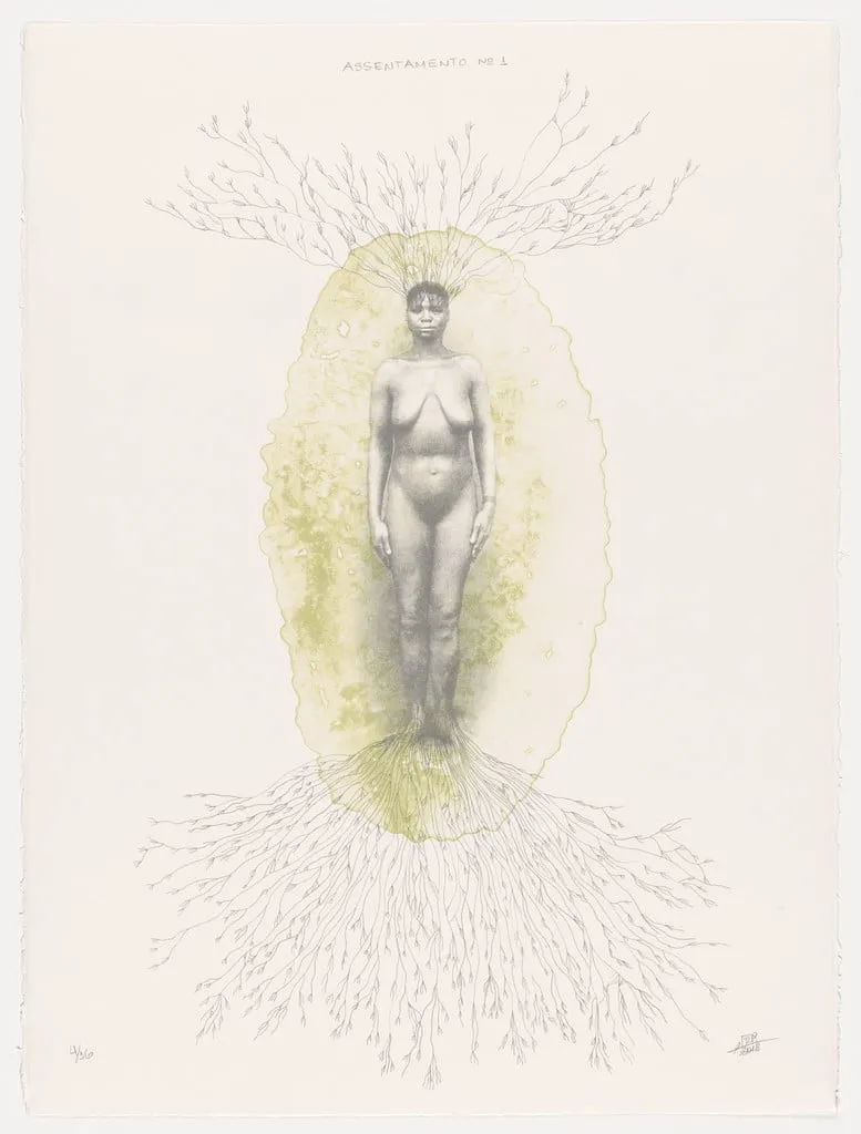 Untitled, by Rosana Paulino, ink, 2012