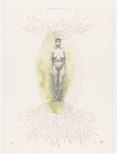 Untitled, by Rosana Paulino