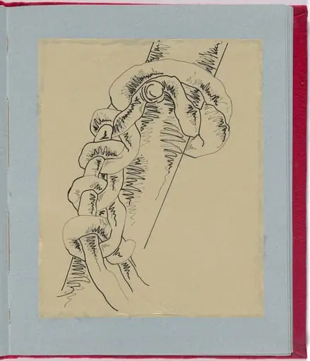 Untitled, by Rosemary Mayer