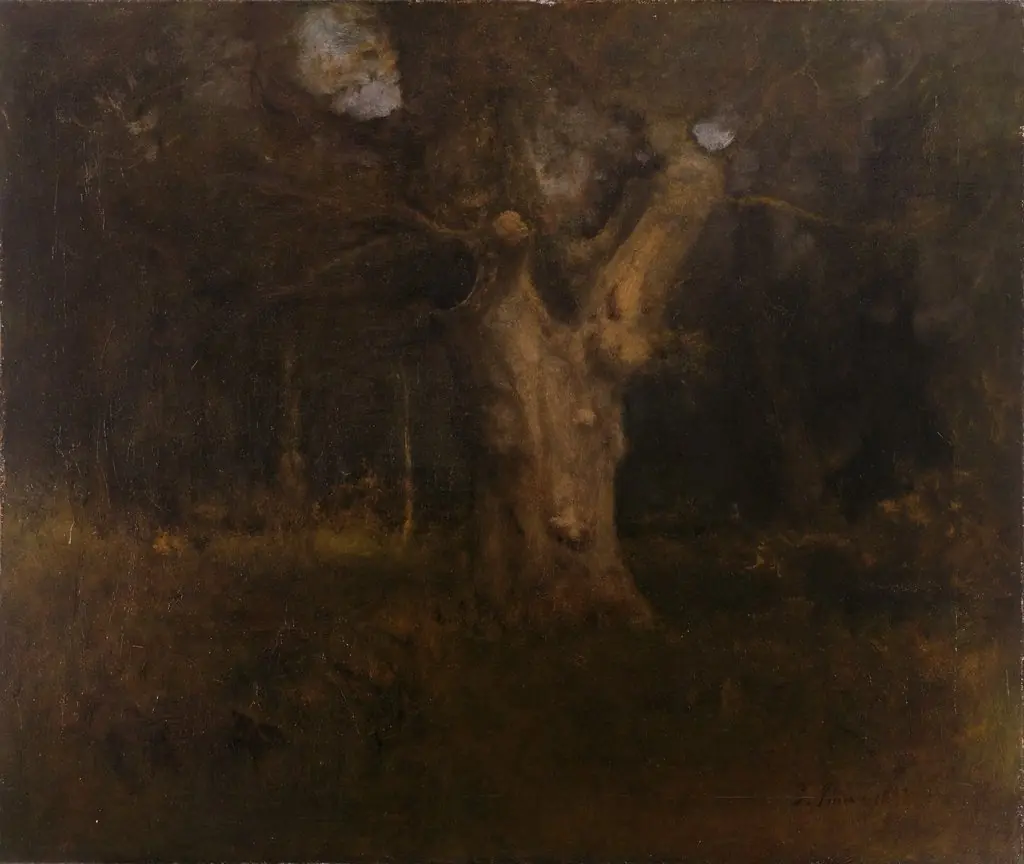 Royal Beech in New Forest, Lyndhurst