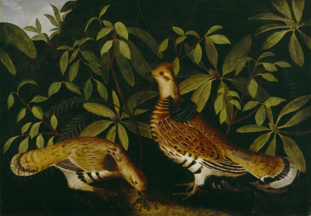 Two Ruffed Grouse in Underbrush, by Rubens Peale, oil, 1864