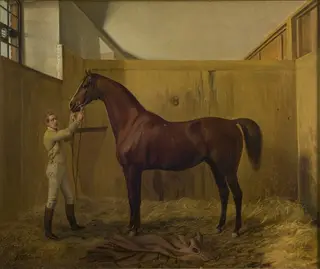 Rubini, by Fritz Thomsen