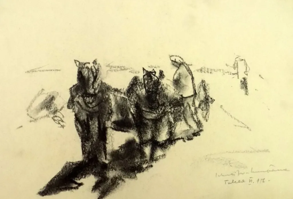 Căruțe Tulcea, by Rudolf Cumpăna-Schweitzer