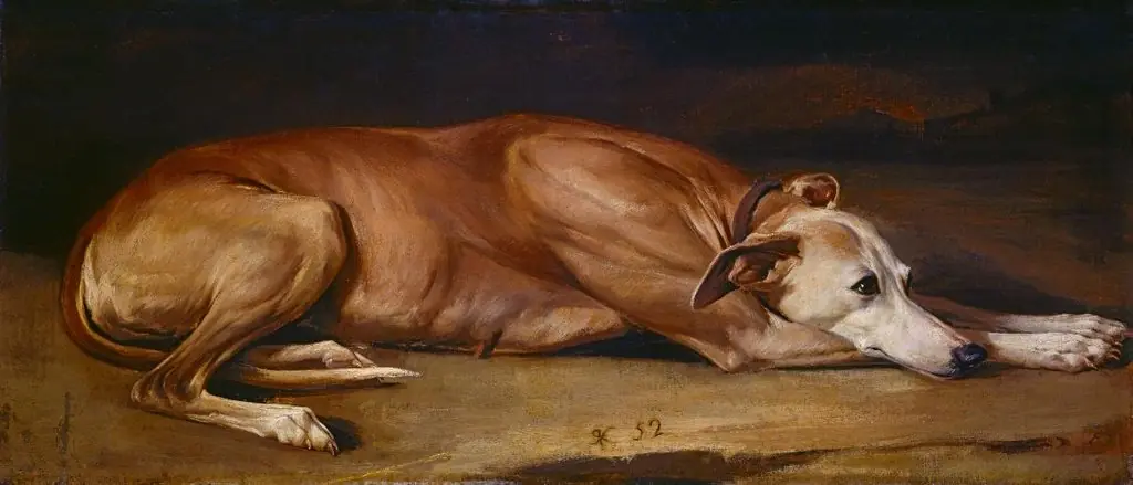 Liegender Windhund, by Rudolf Koller