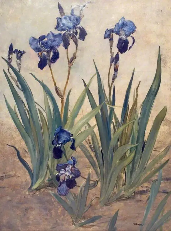 Irises (one side of a two-sided fire screen), by Rudolf Ribarz