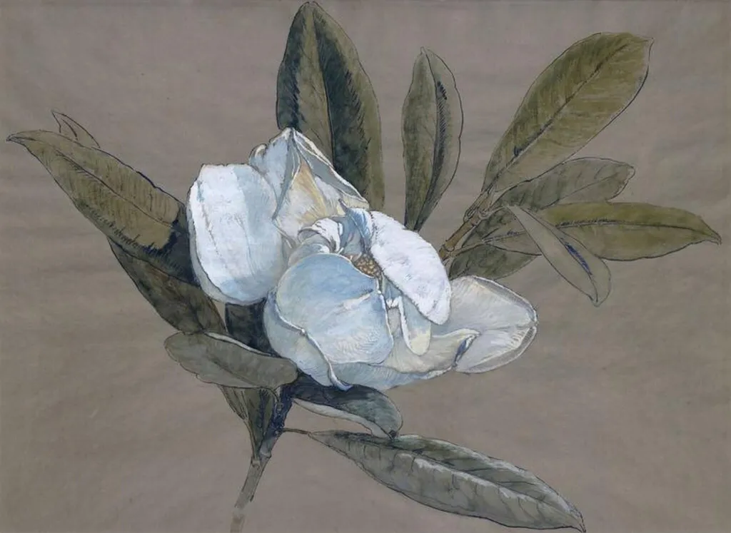 Magnolia, by Rudolf Ribarz, watercolor, 1875