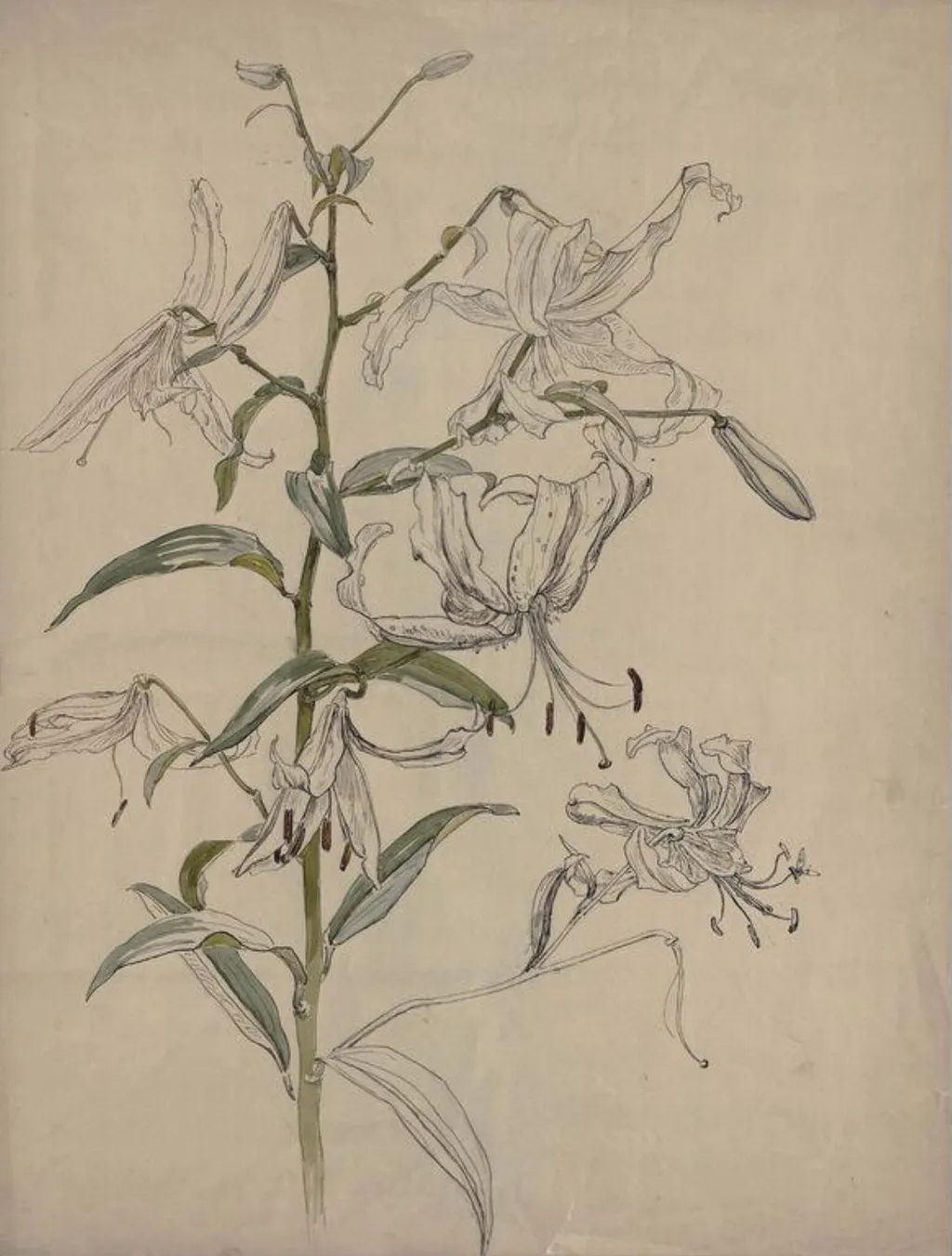 Untitled, by Rudolf Ribarz, watercolor, 1875
