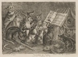 Concert of Cats