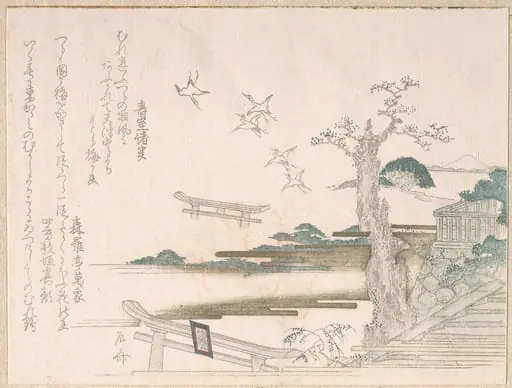 『春雨集』 摺物帖柳々居辰斎画 鎌倉の鶴岡八幡宮に鶴|Spring Rain Collection (Harusame shū), vol. 2: Cranes at Tsurugaoka Hachimangō Shrine in Kamakura, by Ryūryūkyo Shinsai