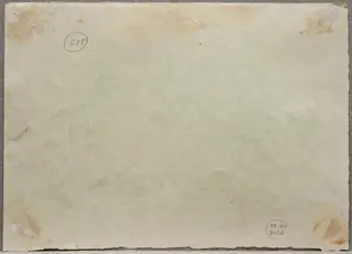 S 28 - Peisaj la Sulina (Intrare de casă cu flori), by Medi Wechsler Dinu