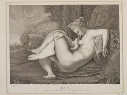 Leda and the Swan, by S. Bennet