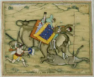 Salim spearing a lioness