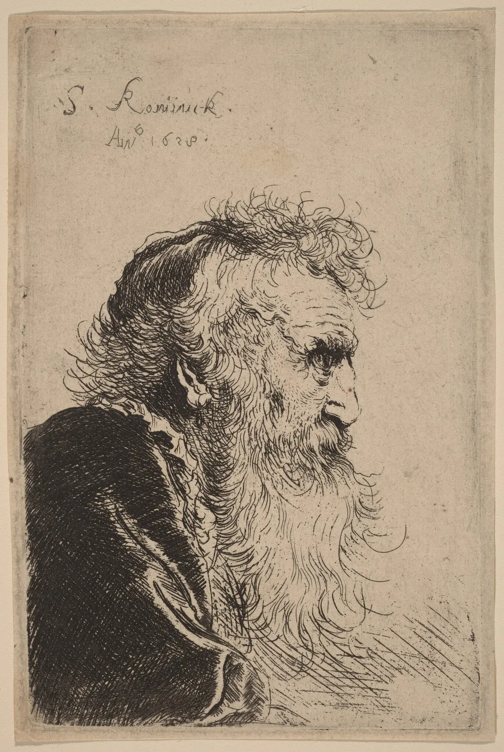 Bust of an Old Man in Profile, Facing Right, by Salomon Koninck, ink, 1638