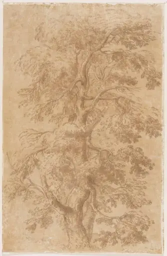 Untitled, by Salvator Rosa