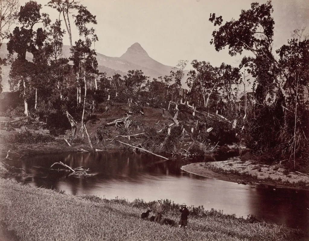 Ceylon Views to Adam's Tooth, by Samuel Bourne, 1884