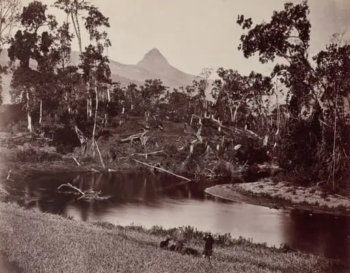 Ceylon Views to Adam's Tooth, by Samuel Bourne