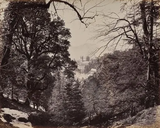 Shimla. The Church Through the Trees, from Jakko, by Samuel Bourne