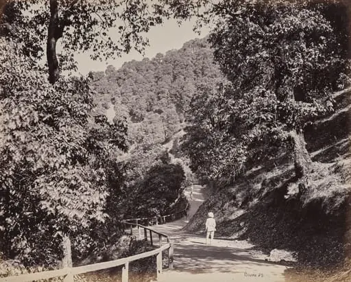Shimla. The Mall near Rabq Lodge, by Samuel Bourne