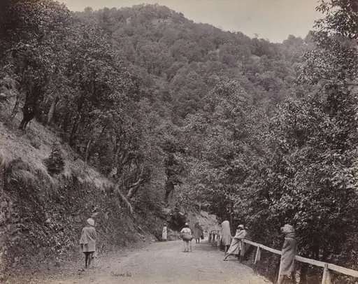 Shimla. The Mall or Principal, by Samuel Bourne