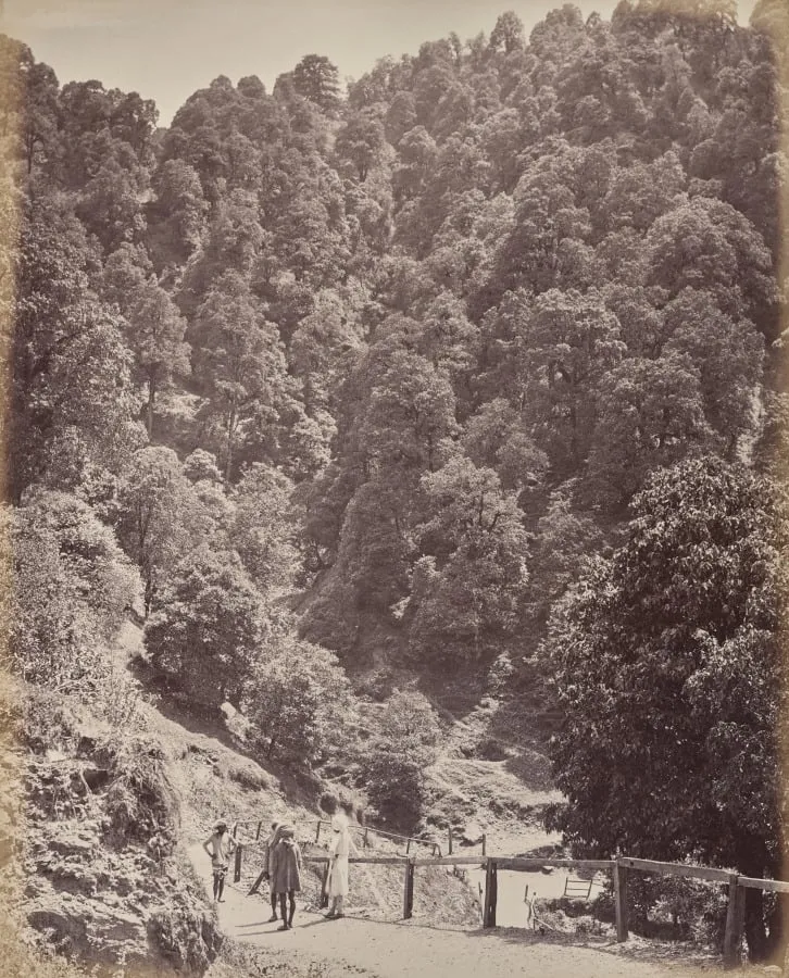 Shimla. View North of Mount Jakko, by Samuel Bourne, 1866