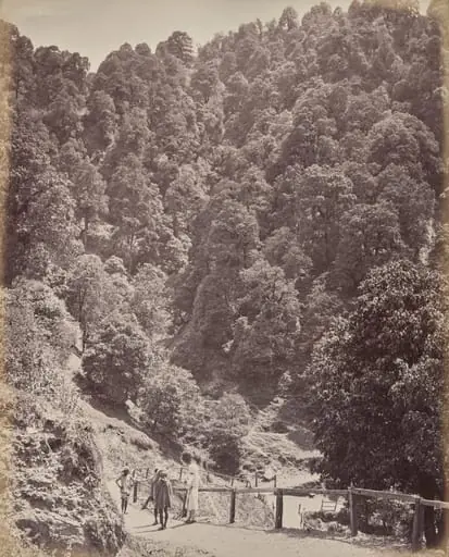 Shimla. View North of Mount Jakko, by Samuel Bourne