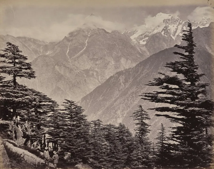The Upper Himmalayahs. View Near China Mountains. Deoders in the Foreground, by Samuel Bourne, 1866