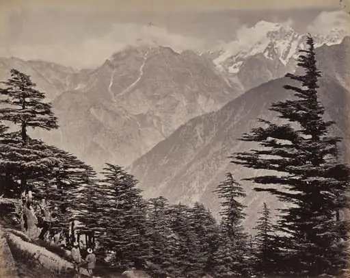 The Upper Himmalayahs. View Near China Mountains. Deoders in the Foreground, by Samuel Bourne