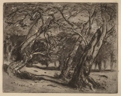 Untitled (Wooded Landscape), by Samuel Colman