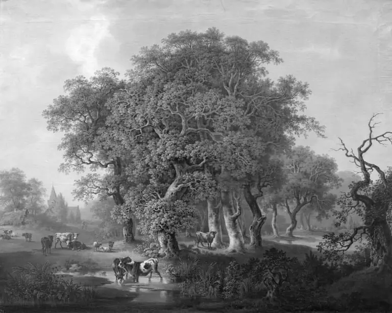 Samuel Mygind