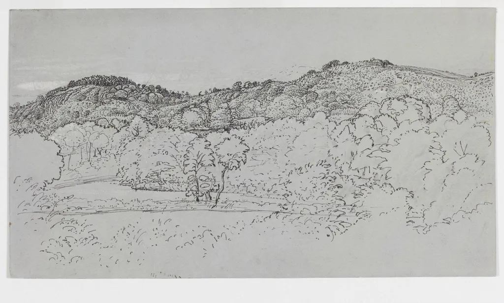 A wooded hillside at Underriver, near Sevenoaks, Kent, by Samuel Palmer, 1829