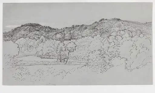 A wooded hillside at Underriver, near Sevenoaks, Kent, by Samuel Palmer