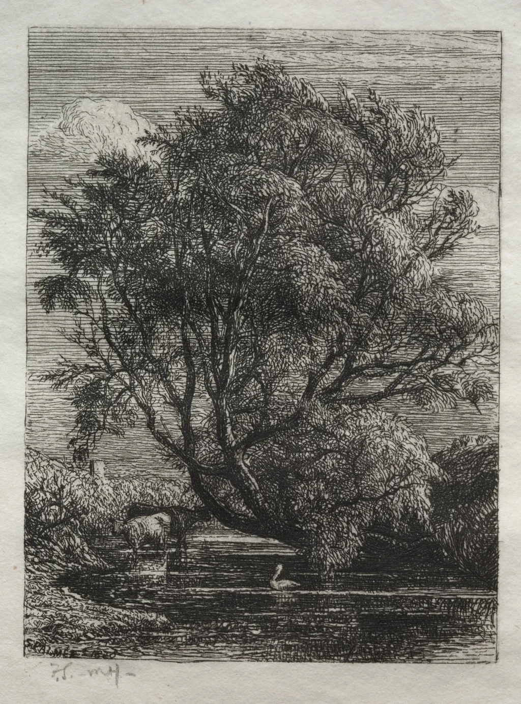 The Willow, by Samuel Palmer, 1850