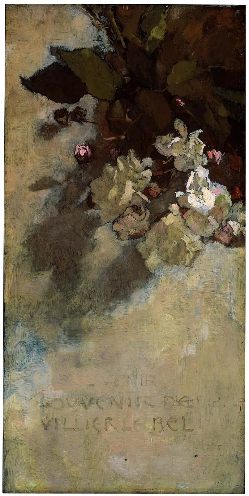 Roses—Souvenir de Villier le bel, by Sarah W. Whitman, unspecified, 1890