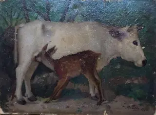 Vacă