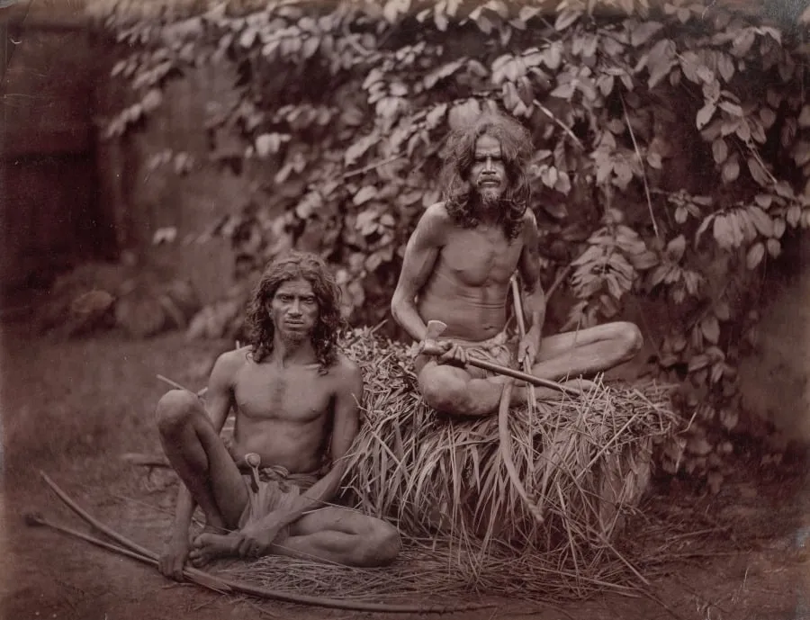 Veddahs of Ceylon, by Scowen & Co., 1884