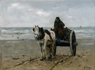 Seaweed Gatherer