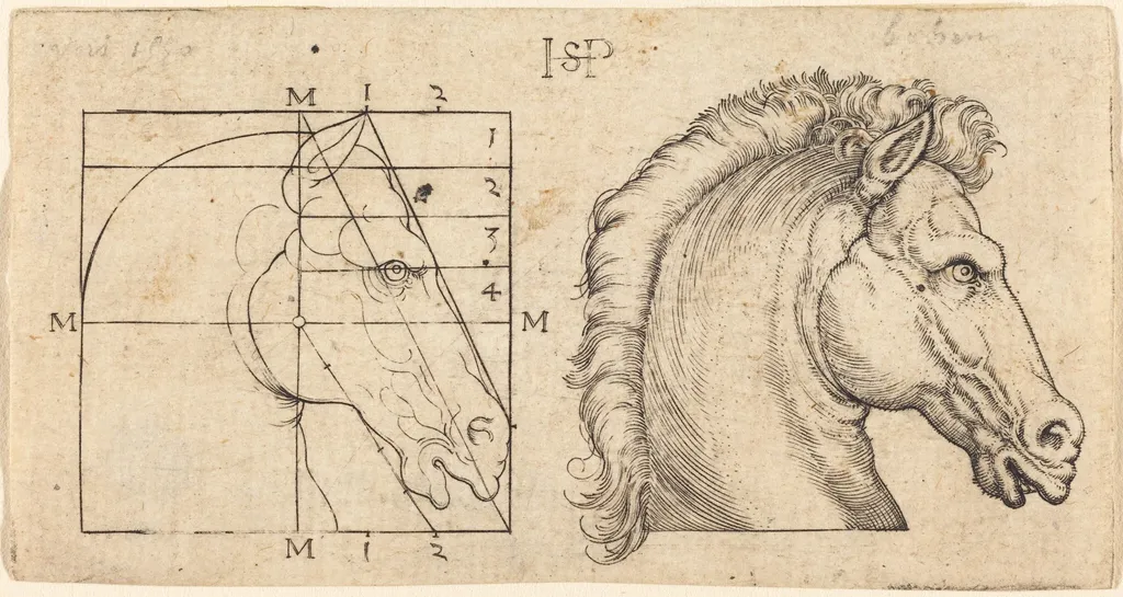 Profile Study of Two Horse Heads, by Sebald Beham, ink, 1528
