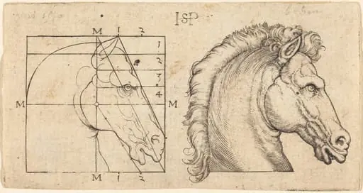 Profile Study of Two Horse Heads, by Sebald Beham