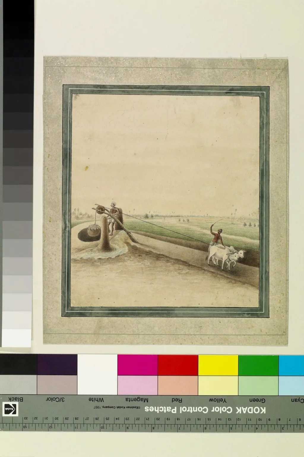 Oxen drawing water, by Sewak Ram, paint, 1805