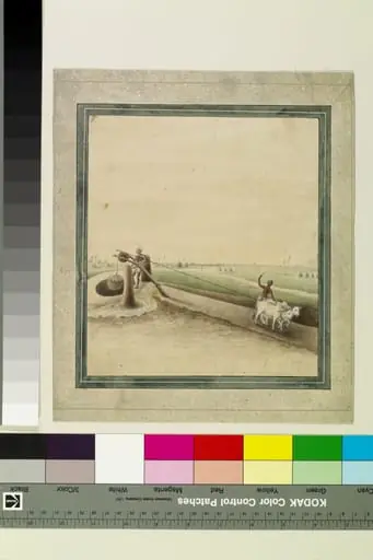Oxen drawing water, by Sewak Ram