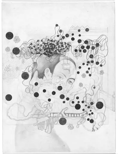 Untitled, by Shahzia Sikander