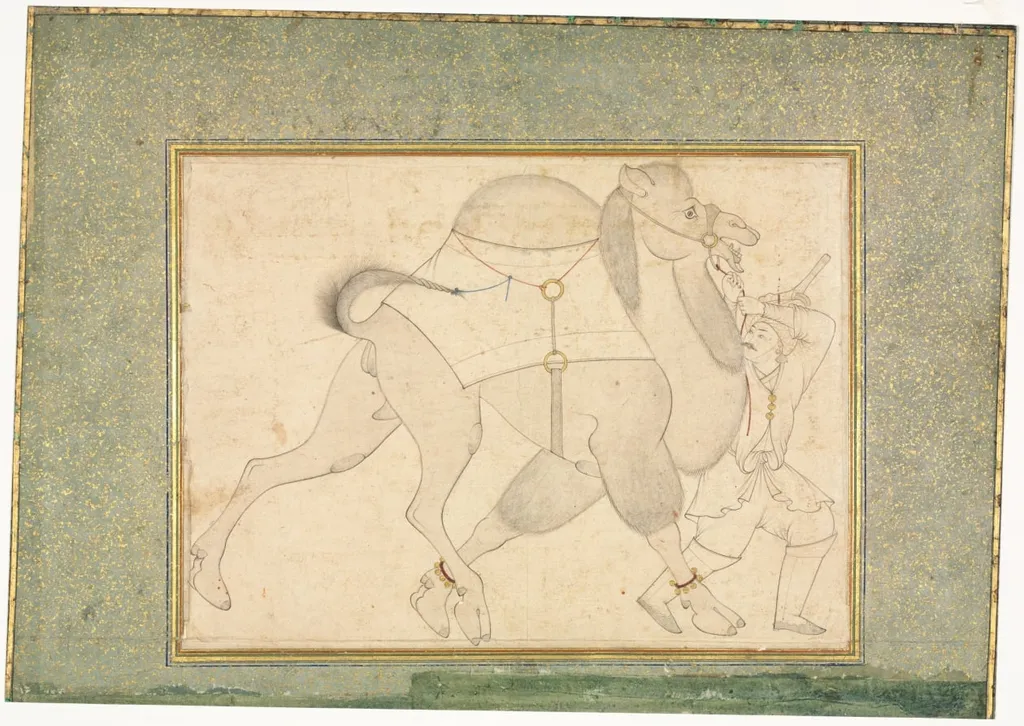 Camel and Groom; Single Page Illustration, by Shaikh Muhammad Amir of Karraya, 1560