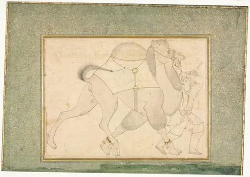 Camel and Groom; Single Page Illustration, by Shaikh Muhammad Amir of Karraya